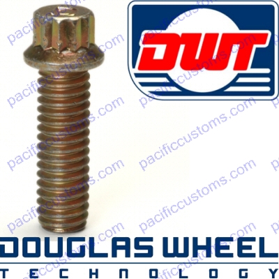 DOUGLAS BEADLOCK REPLACEMENT 5/16-18 12 POINT BOLT FOR BEADLOCK RINGS