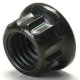 12 Point 8mm 1.25 Thread Metric Nuts For Engine, Transmission, Exhaust, Header, Or Muffler 100 Nuts