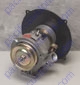 12 Volt 55 Amp Alternator Conversion Kit With Standard Accessories