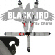 Crow Black Bird Quick Release Grey Seat Belt 3 Inch Lap 3 Inch Shoulders 5 Point Clip In Style