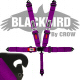 Crow Black Bird Quick Release Purple Seat Belt 3 Inch Lap 3 Inch Shoulders 5 Point Clip In Style