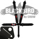 Crow Black Bird Quick Release Black Seat Belt 3 Inch Lap 3 Inch Shoulders 5 Point Bolt In Style