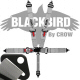 Crow Black Bird Quick Release Grey Seat Belt 3 Inch Lap 3 Inch Shoulders 5 Point Bolt In Style