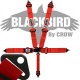 Crow Black Bird Quick Release Red Seat Belt 3 Inch Lap 3 Inch Shoulders 5 Point Bolt In Style