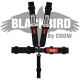 Crow Black Bird Quick Release Black Seat Belt 3 Inch Lap 3 Inch Shoulders 5 Point Wrap Around Style