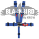 Crow Black Bird Quick Release Blue Seat Belt 3 Inch Lap 3 Inch Shoulders 5 Point Wrap Around Style