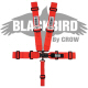 Crow Black Bird Quick Release Red Seat Belt 3 Inch Lap 3 Inch Shoulders 5 Point Wrap Around Style