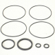 Charlynn Torque Generator Rebuild Seal Kit