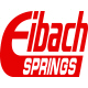 Eibach Springs
