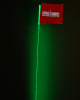 Safeglo Brand 4 Foot Green LED Whip Antenna