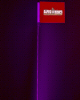 Safeglo Brand 4 Foot Purple LED Whip Antenna